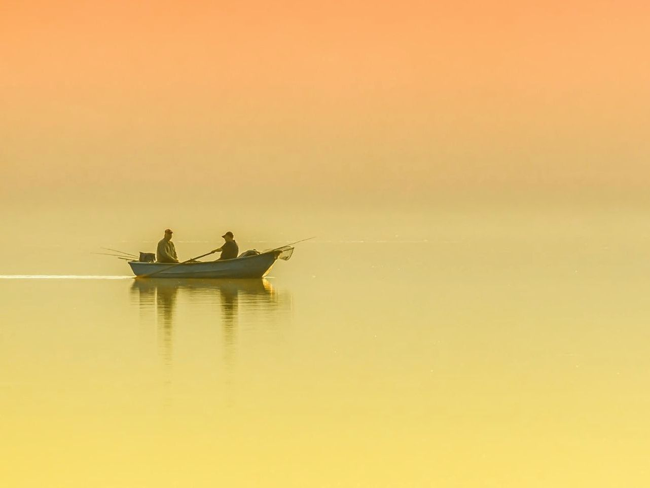 দুটির জোড়া