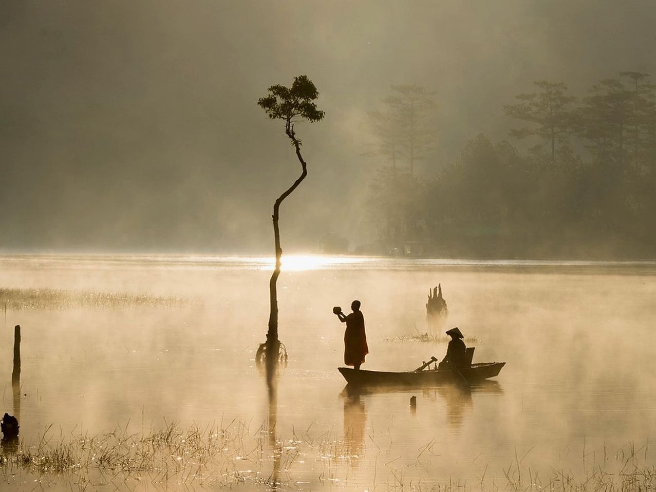 পারিবারিক প্যাক